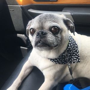 Meet your Posher, Jarrett